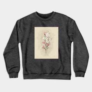 April Flower Birth Month Illustration Crewneck Sweatshirt